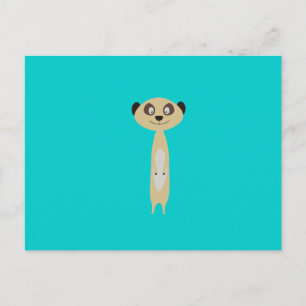 Meerkat Postcard