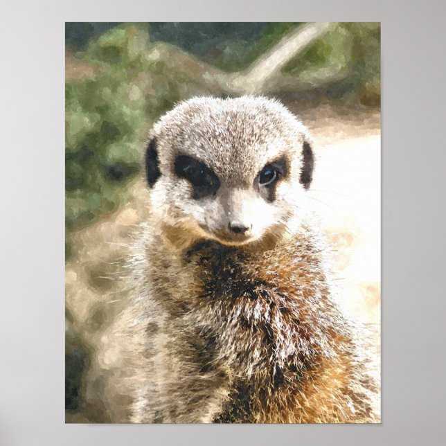 MEERKAT POSTER (Front)