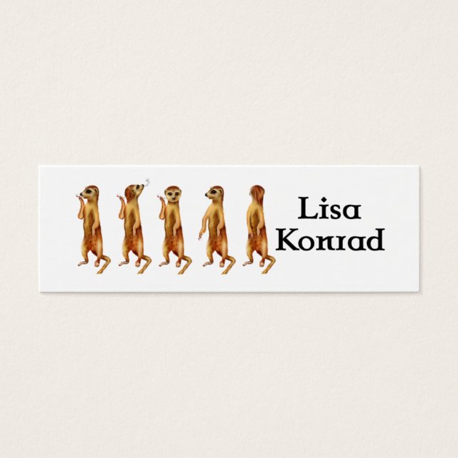 Meerkat profile Card (Front)