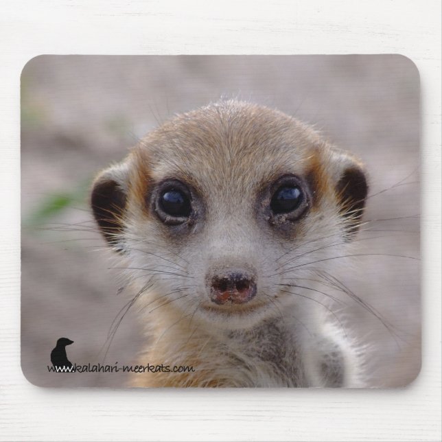 Meerkat Pup Mousepad (Front)