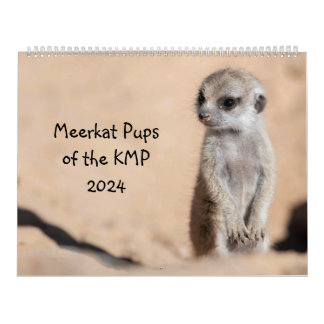 Meerkat Pups of the KMP 2024 Calendar
