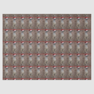 Meerkat Santa Claus Tissue Paper