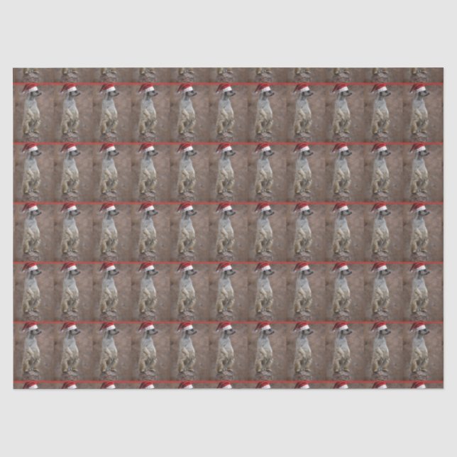 Meerkat Santa Claus Tissue Paper (Front)