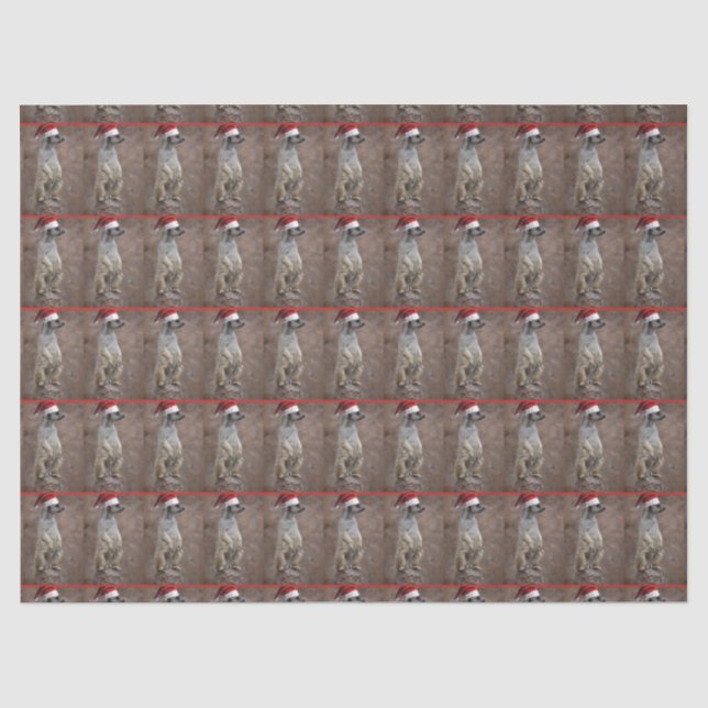 Meerkat Santa Claus Tissue Paper (Front)