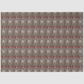 Meerkat Santa Claus Tissue Paper