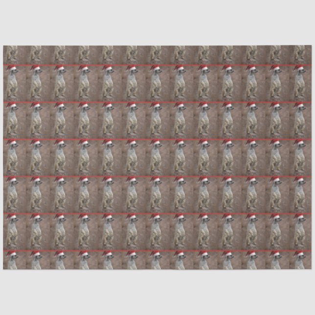 Meerkat Santa Claus Tissue Paper (Front)
