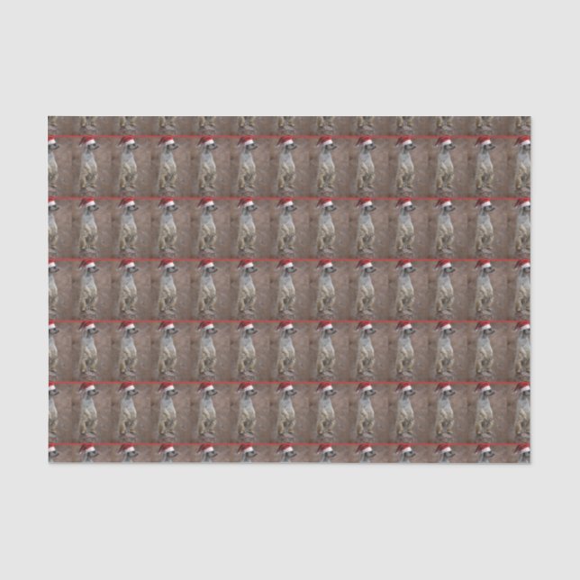 Meerkat Santa Claus Tissue Paper (Front)