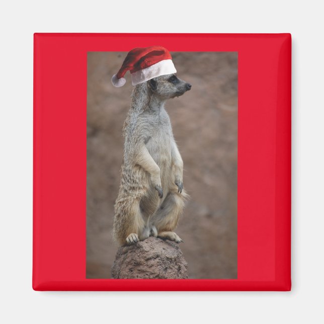 Meerkat-Santa Magnet (Front)