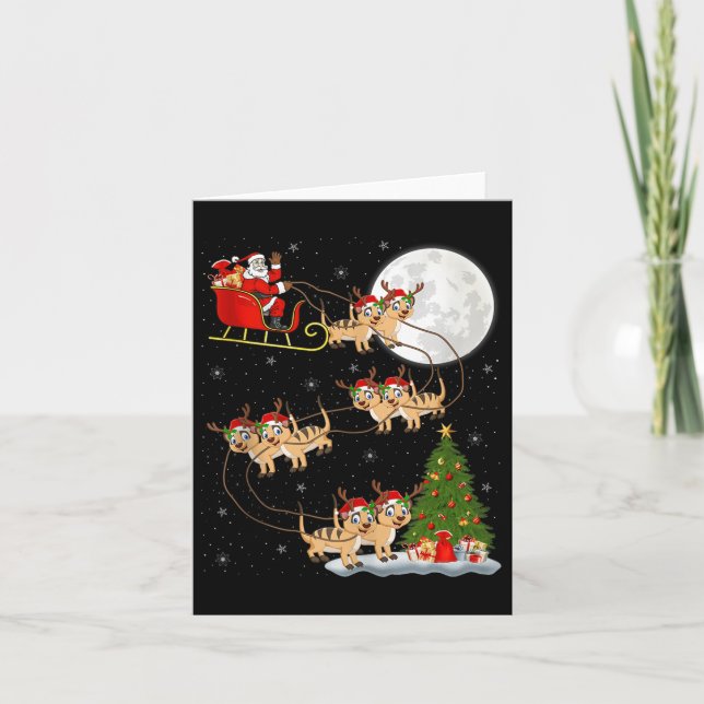 Meerkat Santa Sleigh Flying Funny Magical Christma Card (Front)
