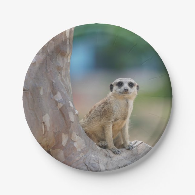 Meerkat Sat on Tree Paper Plate (Front)