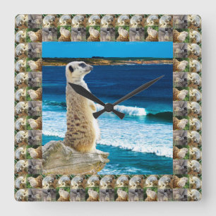 Meerkat Sentry Watching For Fish At The Beach, Square Wall Clock