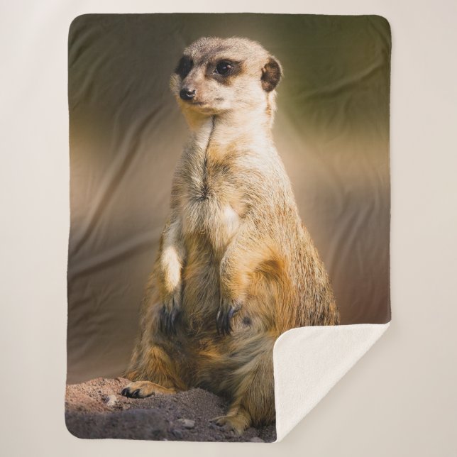 MEERKAT SHERPA BLANKET (Front)