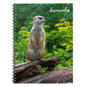 Meerkat Spiral notebook