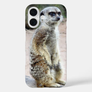 meerkat stand iPhone 16 case