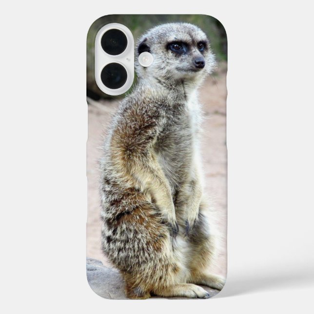 meerkat stand Case-Mate iPhone case (Back)