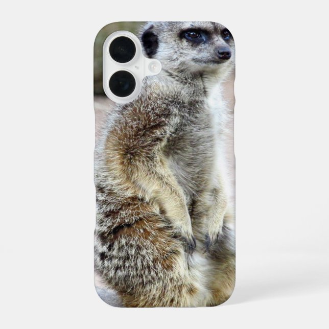 meerkat stand iPhone 16 case (Back)