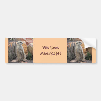 Meerkat Standing on Hind Legs Bumper Sticker