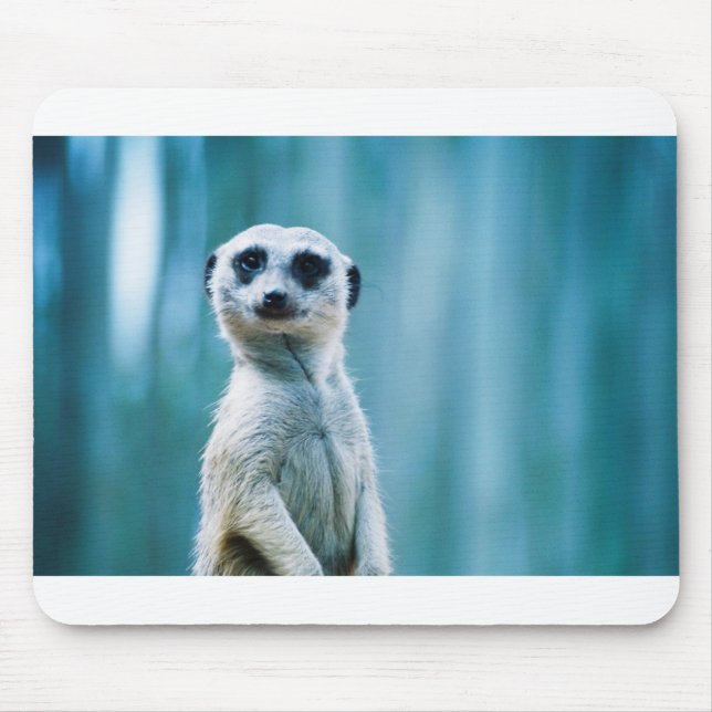 Meerkat Staredown Mouse Mat (Front)