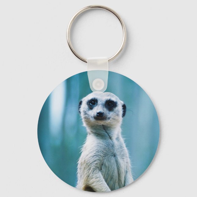 Meerkat Staredown - The Keychain (Front)