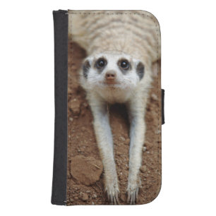 Meerkat (Suricata Suricatta) Cooling Down Samsung S4 Wallet Case