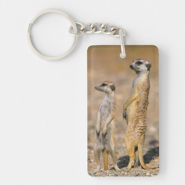 Meerkat (Suricata Suricatta) Sentinels, Karas Key Ring (Front)