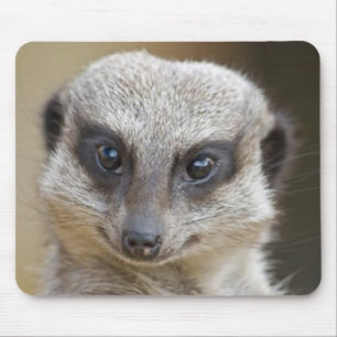 Meerkat Up Close Mouse Mat