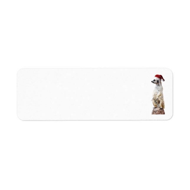 Meerkat Wearing a Santa Claus Hat (Front)
