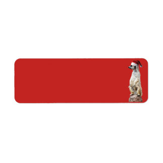 Meerkat wearing a Santa Claus Hat