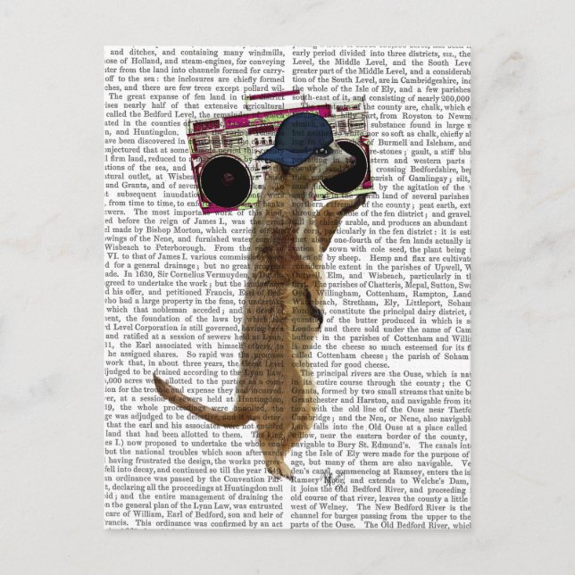 Meerkat with Boom Box Ghetto Blaster 2 Postcard (Front)