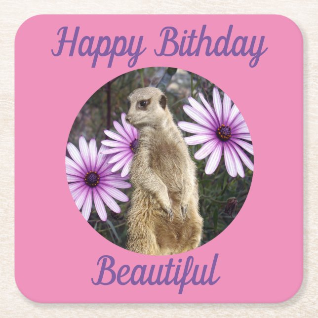 Meerkat With Daisies, Paper Birthday Coasters (Front)