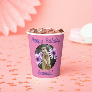 Meerkat With Daisies, Paper Birthday Cups