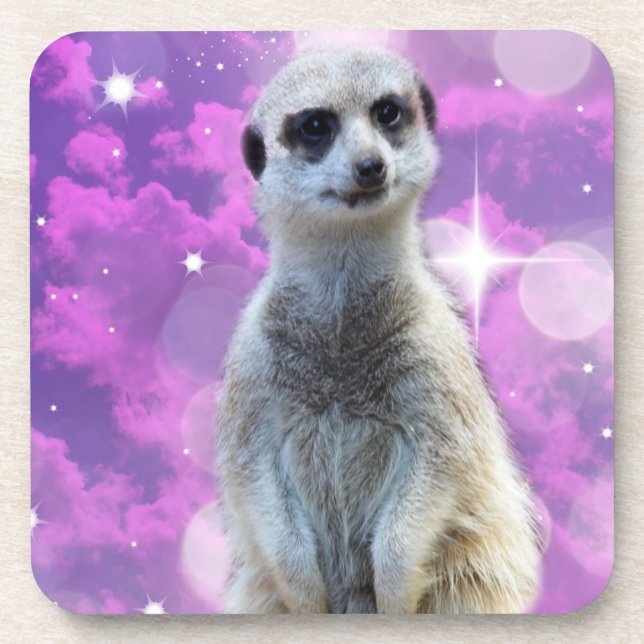 Meerkat With Sparkle, Coaster (Front)