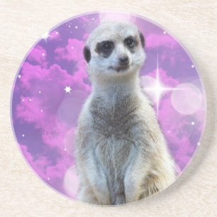 Meerkat With Sparkle, Coaster