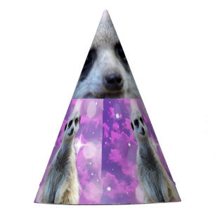 Meerkat With Sparkle, Party Hat