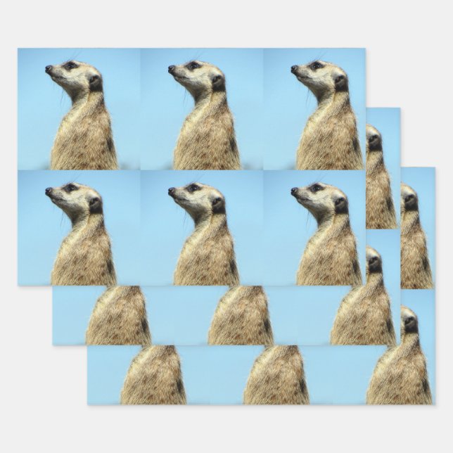 Meerkat Wrapping Paper Sheets (Set)