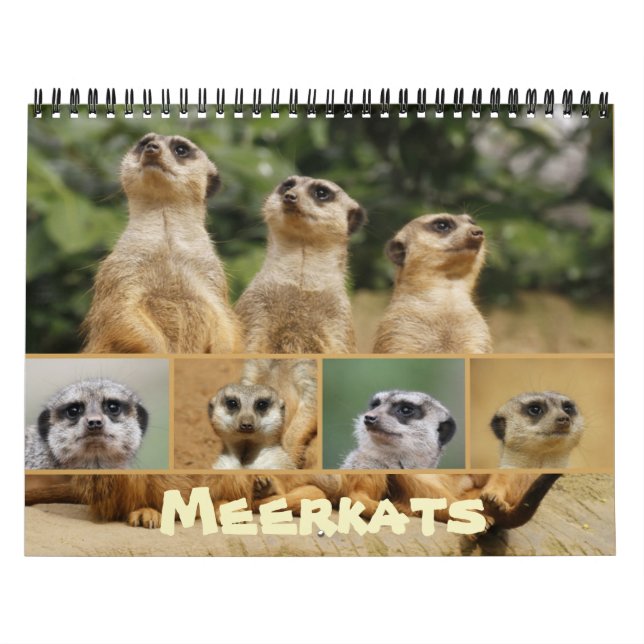 Meerkats 002 calendar (Cover)