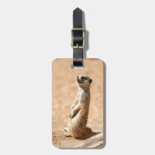 Meerkats are cool luggage tag