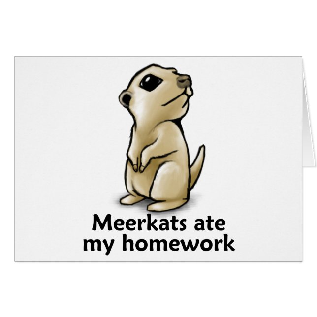 Meerkats ate my homework (Front Horizontal)