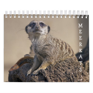 Meerkats Calendar