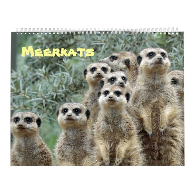 Meerkats Calendar (Cover)