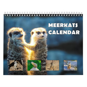 Meerkats Calendar