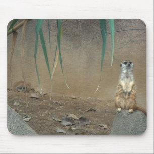 Meerkats Mouse Mat