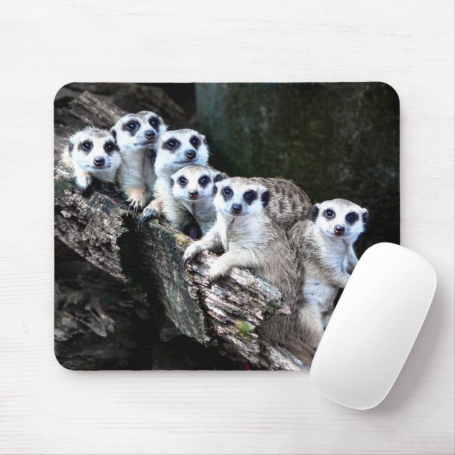 Meerkats Mouse Mat (With Mouse)