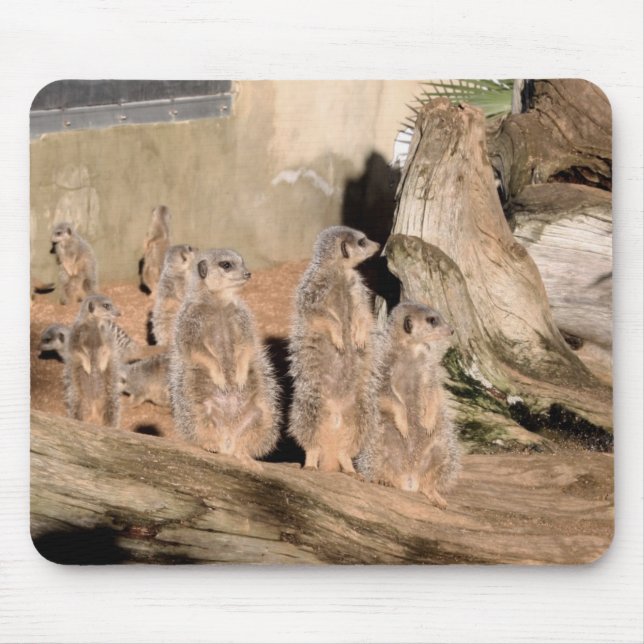 Meerkats Mouse Mat (Front)