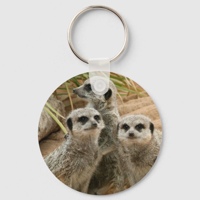 Meerkats on the lookout key ring (Front)