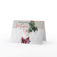 Meet Me Under The Mistletoe Cute Cat Christmas