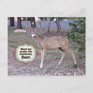 Meet me under the Mistletoe Postcard