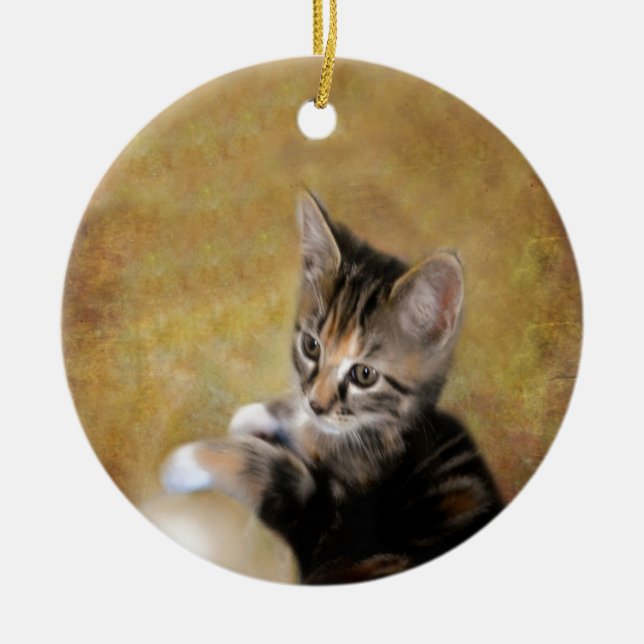 Meet Tiger Ceramic Tree Decoration (Front)