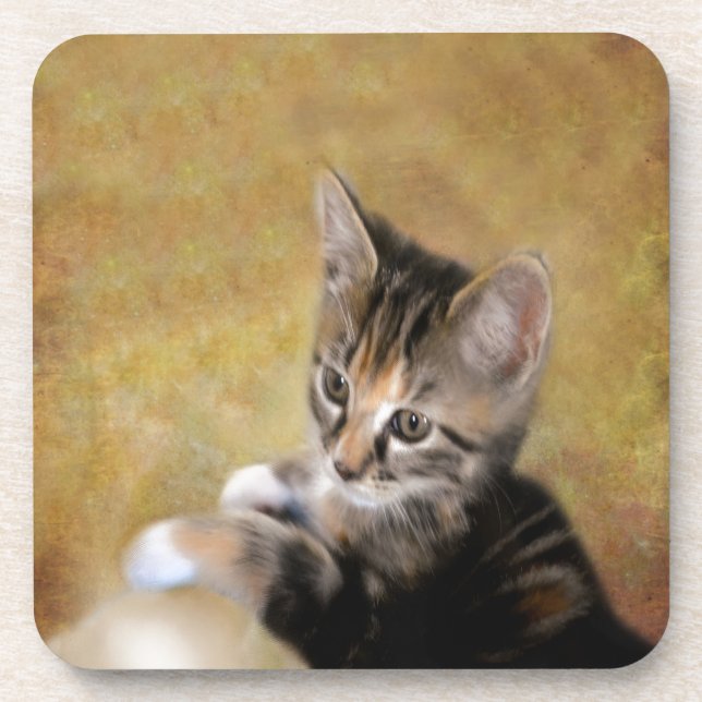 Meet Tiger Coaster (Front)