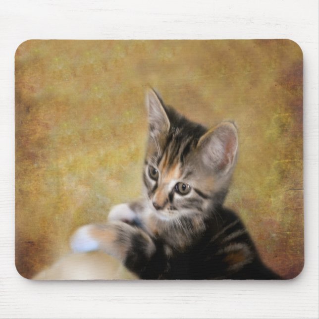 Meet Tiger Mouse Mat (Front)